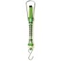 Push & Pull Spring Scale - 500g