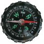 Compass - Magnetic (Set of 30)